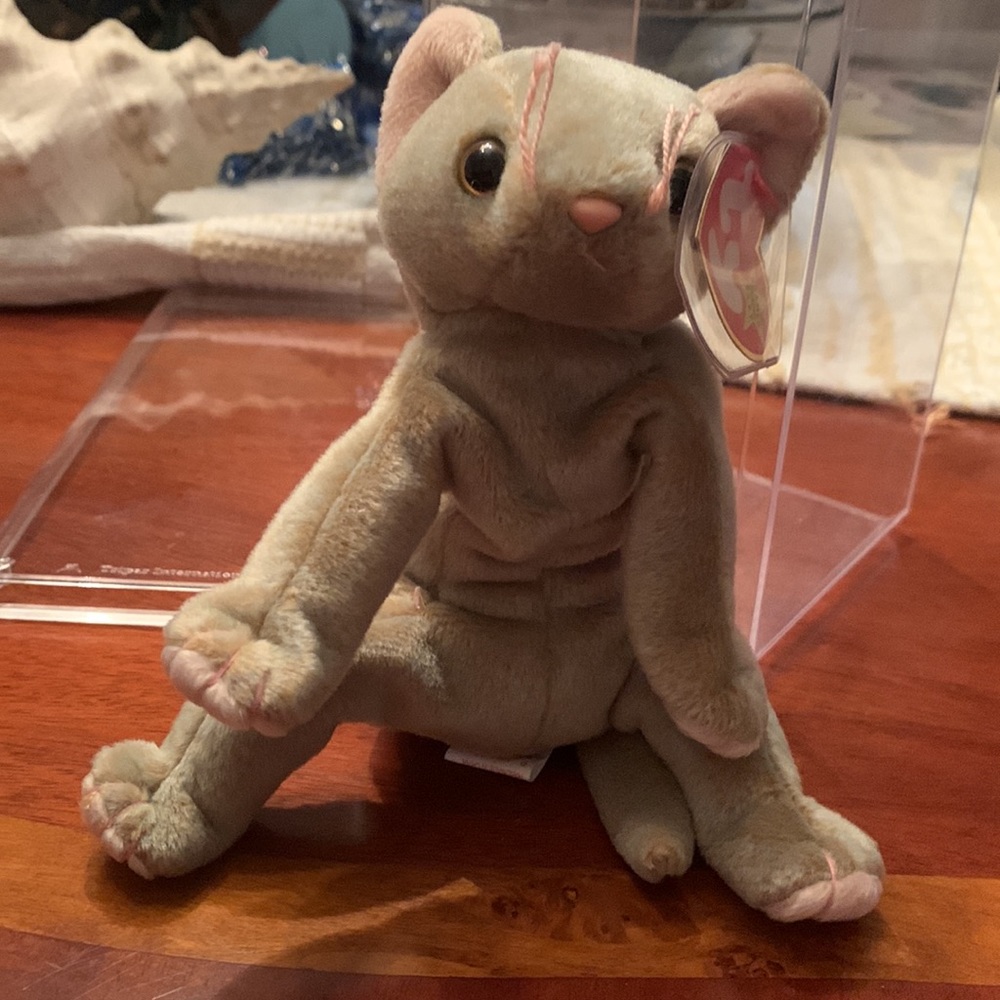 TY Beanie Baby Scat The Cat in Clear Plastic Display Case